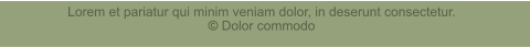 Lorem et pariatur qui minim veniam dolor, in deserunt consectetur.  Dolor commodo