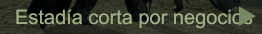 Estada corta por negocios