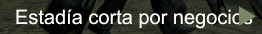 Estada corta por negocios