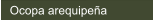Ocopa arequipea